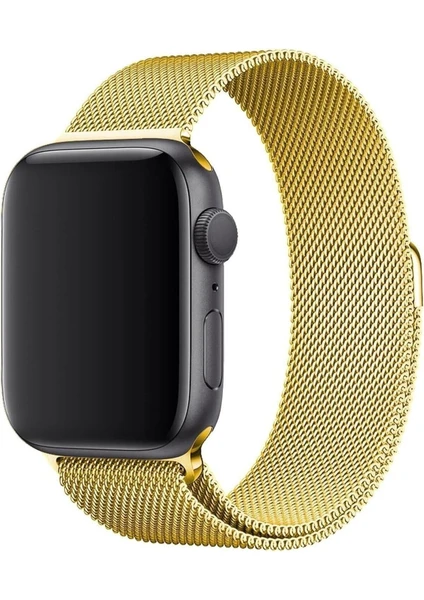 Apple Watch Se Nike Series 1 2 3 4 5 6 7 8 9 38 40 41MM Uyumlu Metal Hasır Örgü Mıknatıslı Milano Loop Kordon