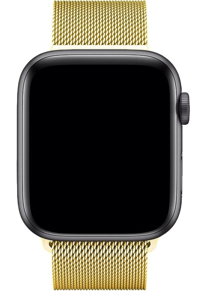 Apple Watch Se Nike Series 1 2 3 4 5 6 7 8 9 38 40 41MM Uyumlu Metal Hasır Örgü Mıknatıslı Milano Loop Kordon