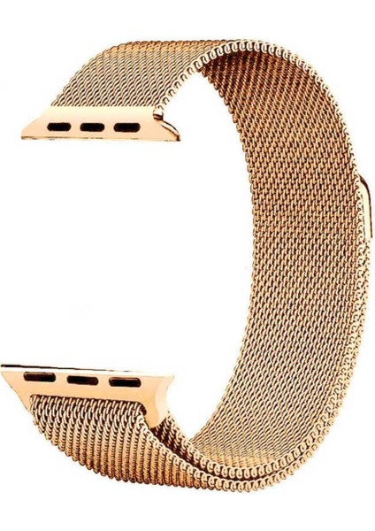 Apple Watch Se Nike Series 1 2 3 4 5 6 7 8 9 38 40 41MM Uyumlu Metal Hasır Örgü Mıknatıslı Milano Loop Kordon