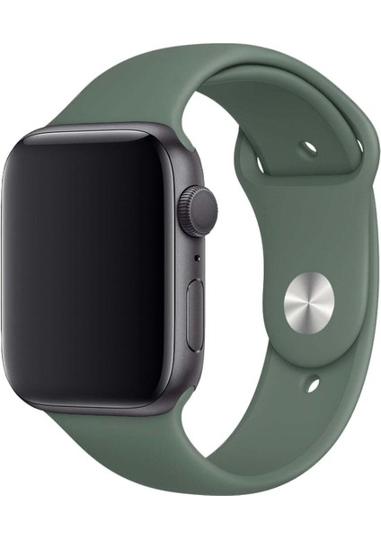 Apple Watch 10/11/9/8/7/6/5/4/3/SE/ULTRA/HK/PRO/MAX 49MM 46MM 45MM 44MM 42MM Uyumlu Kordon Kayış Bileklik Klasik Spor Silikon Band modelleri