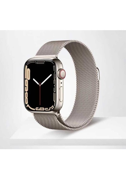 Apple Watch Se Nike Series 1 2 3 4 5 6 7 8 9 38 40 41MM Uyumlu Metal Hasır Örgü Mıknatıslı Milano Loop Kordon