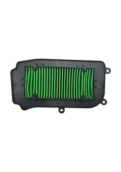 Lavinia 125 Hava Filtre Elemanı Orj
