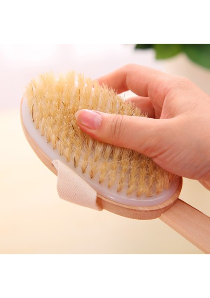 Fırçalama Stili Taşınabilir Doğal Kıllı Spa Vücut Fırçası - Banyo ve Duş Için Eksfoliye Edici Vücut Fırçası (Yurt Dışından) fiyatları