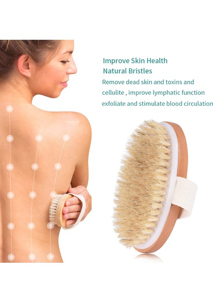 Fırçalama Stili Taşınabilir Doğal Kıllı Spa Vücut Fırçası - Banyo ve Duş Için Eksfoliye Edici Vücut Fırçası (Yurt Dışından) fırsatları