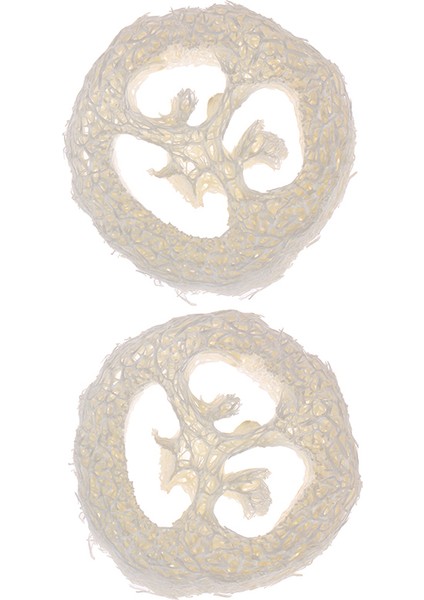 2 Adet Tarzı Doğal Lüf Açık Lavabo Bezi Ovma Ped Tabak Kase Kolay Temiz Yıkama Sünger Mutfak Temiz Fırçalar Ovma Ped (Yurt Dışından)