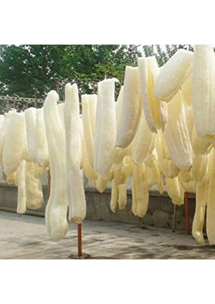 Organik Lufa 6'lı Paket Spa Peeling Süngeri - Ölü Cilt Hücrelerini Temizler (Yurt Dışından) fırsatları