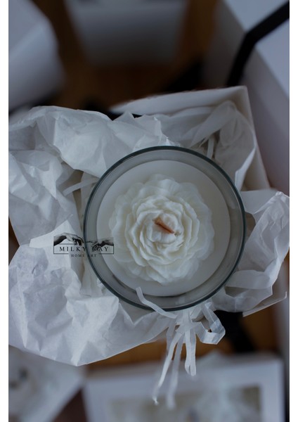 Şakayık Mum Soya Mumu Vegan Mum fiyatları