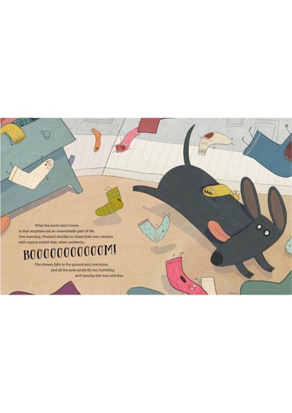 Sock World - Brian Freschi