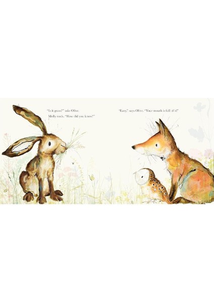The Guessing Game / Molly, Olive And Dexter - Catherine Rayner