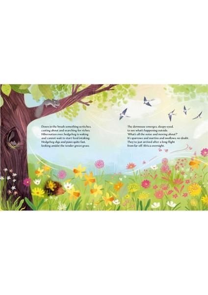 Spring - Ester Tome modelleri