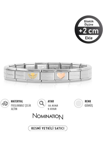 Italy Composable 18K Altın Kanatlı Kalp & 9k Rose Kalp Paslanmaz Çelik Silver Sılver