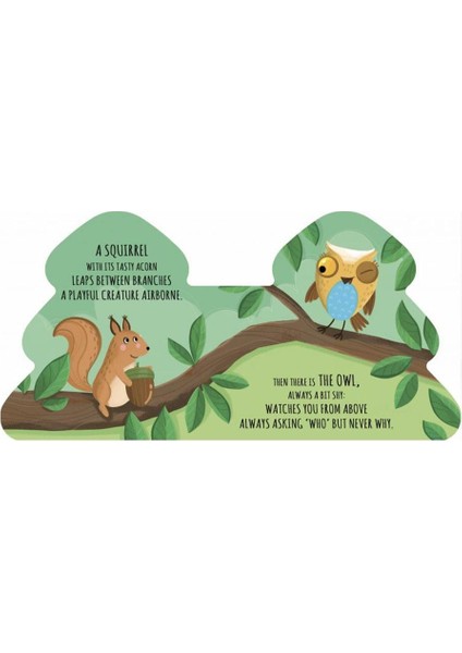 Friends of the Forest - Şekilli Kalın Kitap