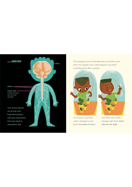 Dr Roopas Body Books - The Brilliant Brain fırsatları