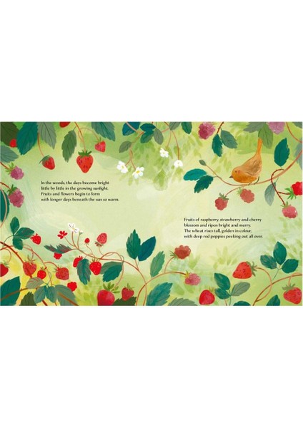 Summer - Ester Tome