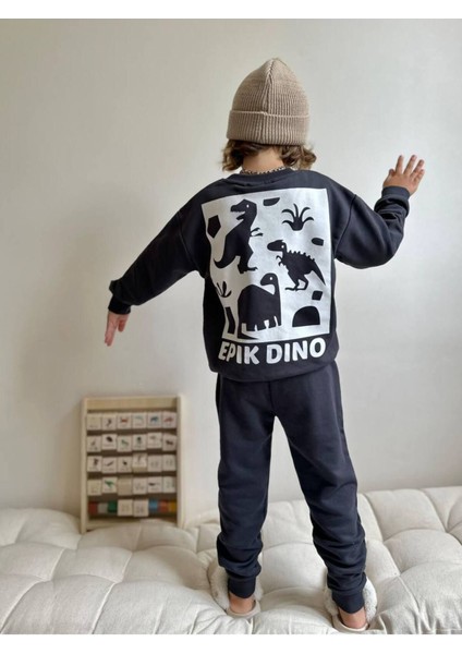 Dinazor Baskılı Erkek Çocuk Takım fiyatları