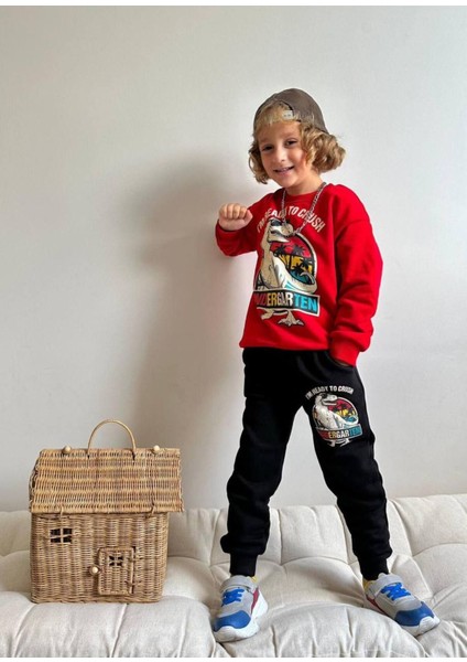 Dinazor Baskılı Erkek Çocuk Takım fiyatları