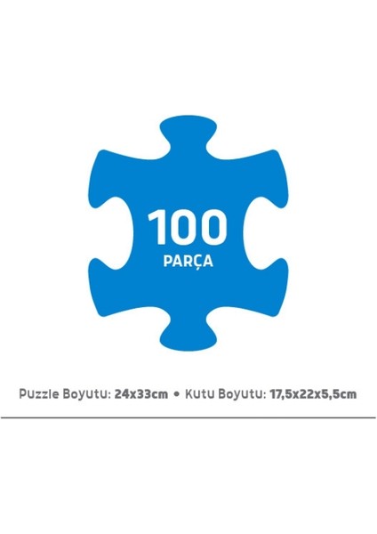 100 Parça Puzzle - World Map (Dünya Haritası)