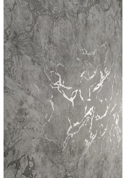 Black Serisi Gri Üzerine Gümüş Damarlı Silinebilir Duvar Kağıdı 16 M² indirimleri