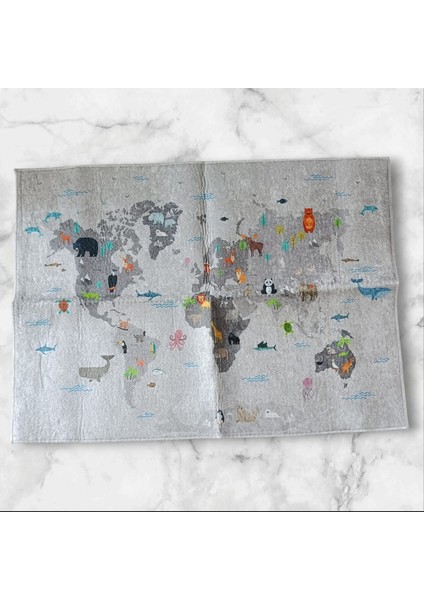 Eğitici Dünya Haritası Baskılı Çocuk Odası Halısı, Dokuma Taban Dijital Baskılı Halı, Çocuk Halısı fiyatları