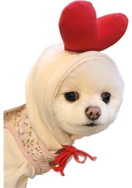Küçük ve Orta Ölçülü Köpek Gündüz ve Kış Noel Kuzey (Yurt Dışından)