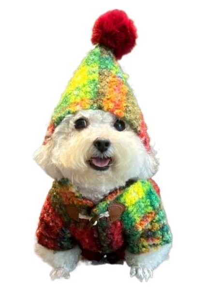 Noel Köpeği Sıcak Tutan Giysiler Ceketi (Yurt Dışından)