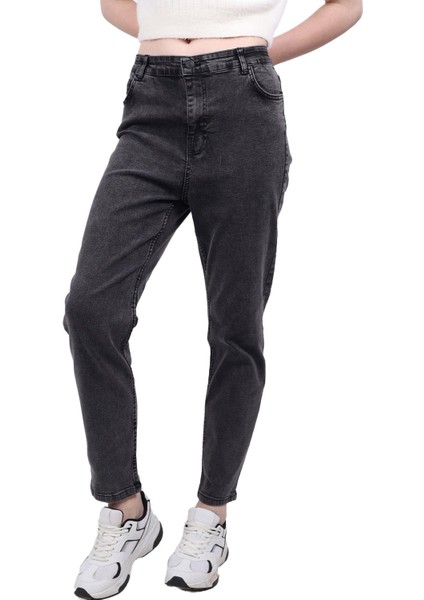 11008 Battal Boy Pantolon Füme fiyatları