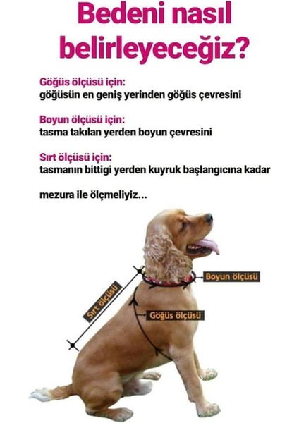 Unicorn Esnek Penye Küçük Irk Köpek Tulumu