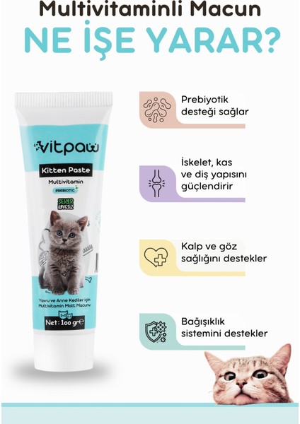 Kitten Paste 100 Gr.(Yavru & Anne Kedi Direnç Sistemi Destekleyici Multivitamin Macun)