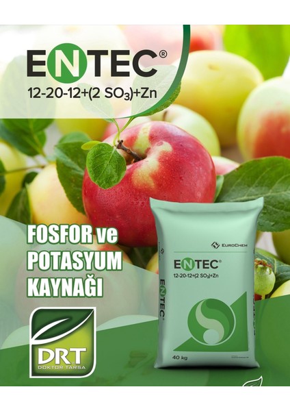 Entec Npk 12-20-12 Kaktüs ve Sukulentler Için Yavaş Salınımlı Akıllı Granül Gübre 1 Kg