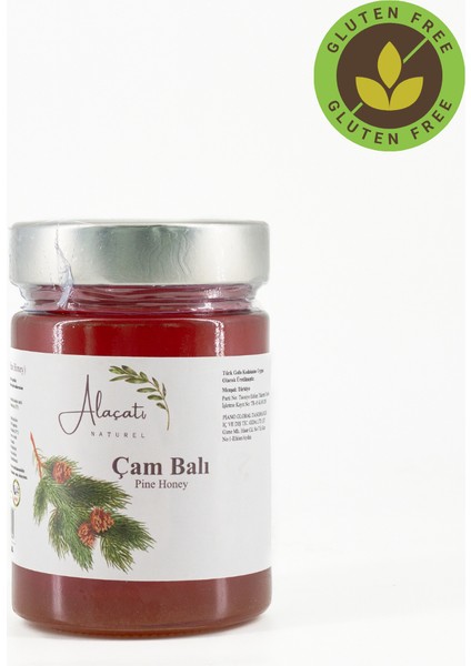 Çam Balı 450 gr
