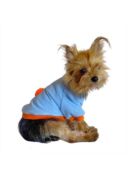 Ponçik Oval Yaka Tişört Köpek Kıyafeti Köpek Elbisesi