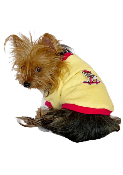 Kaykay Oval Yaka Tişört Köpek Kıyafeti Köpek Elbisesi