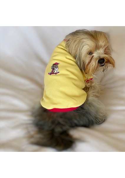 Kaykay Oval Yaka Tişört Köpek Kıyafeti Köpek Elbisesi fiyatları