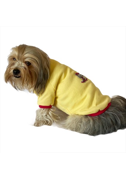 Kaykay Oval Yaka Tişört Köpek Kıyafeti Köpek Elbisesi modelleri