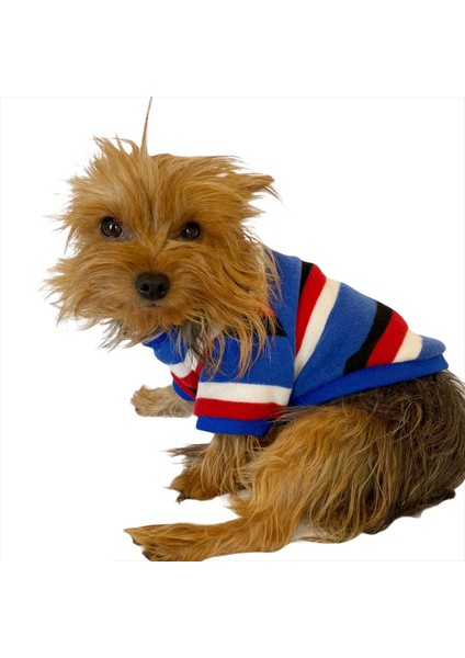 Tommy Colours Oval Yaka Tişört Köpek Kıyafeti Köpek Elbisesi modelleri