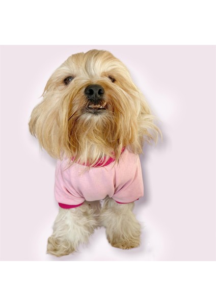 Nature Pink Oval Yaka Tişört Köpek Kıyafeti fiyatları