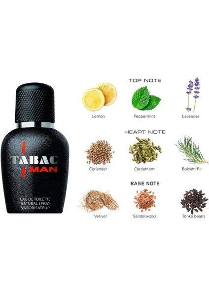 Man Edt 50 ml Erkek Parfümü