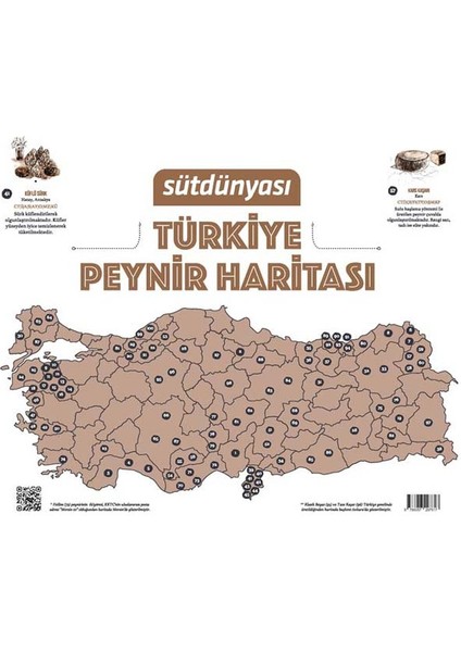Türkiye Peynir Haritası Posteri fiyatları