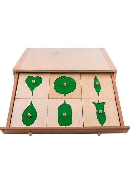 Montessori Yaprak Kartları fiyatları