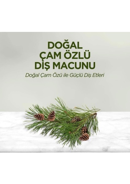 Eyüp Sabri Tuncer Doğal Diş Macunu 90 gr Çam Özlü fiyatları