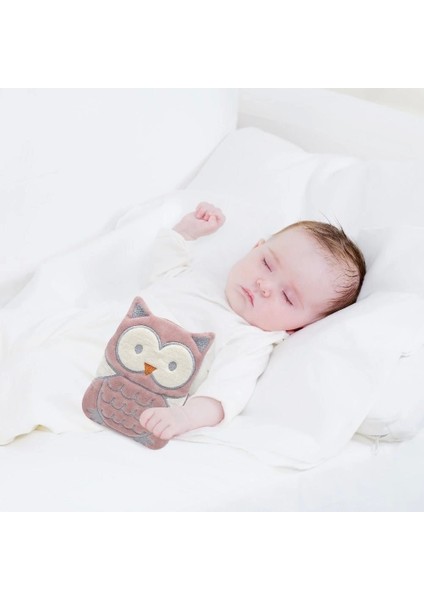 Kiraz Çekirdekli Baykuş Kadife Gaz Yastığı 366 Gül Kurusu fiyatları