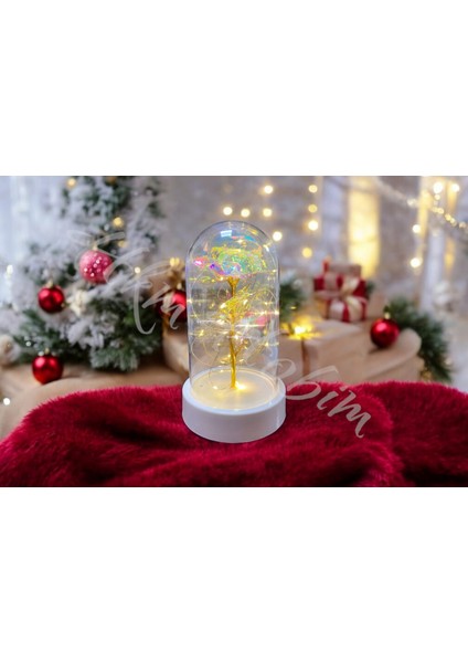 Yılbaşı Temalı Sonsuzluk Gülü Fanus Gift Gala x y Rose 14 Şubat Günü Sevgiliye Özel