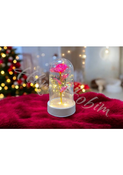 Sonsuzluk Gülü Fanus Gift Gala x y Rose 14 Şubat Günü Sevgiliye Özel