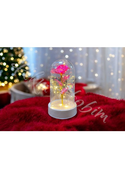 Sonsuzluk Gülü Fanus Gift Gala x y Rose 14 Şubat Günü Sevgiliye Özel