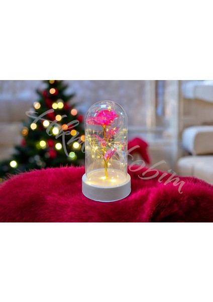 Sonsuzluk Gülü Fanus Gift Gala x y Rose 14 Şubat Günü Sevgiliye Özel