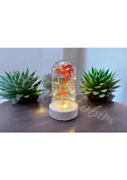 Sonsuzluk Gülü Fanus Gift Gala x y Rose 14 Şubat Günü Sevgiliye Özel