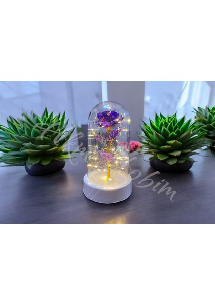 Sonsuzluk Gülü Fanus Gift Gala x y Rose 14 Şubat Günü Sevgiliye Özel fiyatları