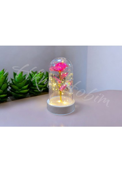 Sonsuzluk Gülü Fanus Gift Gala x y Rose 14 Şubat Günü Sevgiliye Özel