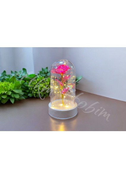 Sonsuzluk Gülü Fanus Gift Gala x y Rose 14 Şubat Günü Sevgiliye Özel fiyatları