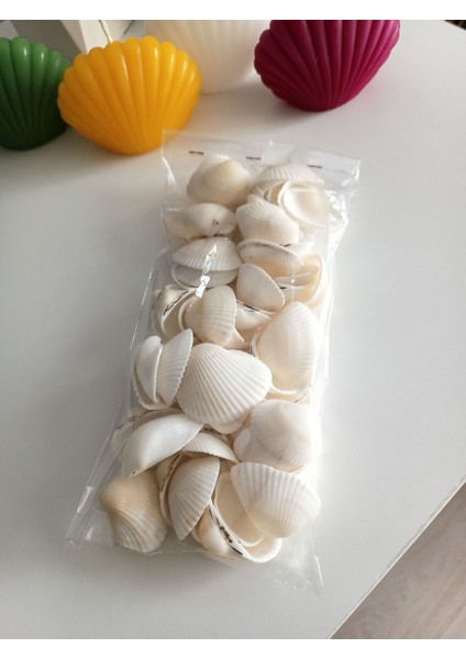 250 gr Deniz Kabuğu